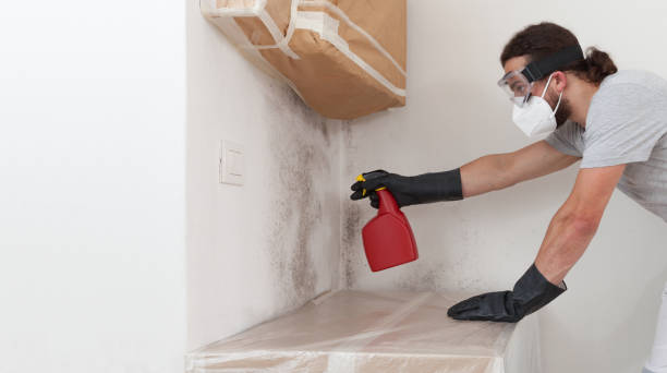 Professional Attic Mold Removal technician working in Fairfield, IL