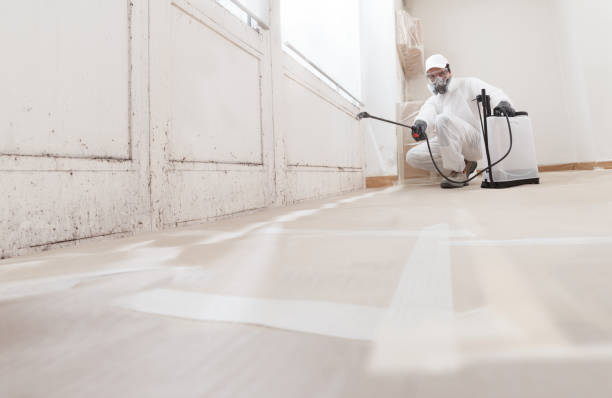 24/7 Emergency Attic Mold Removal experts in Fairfield, IL
