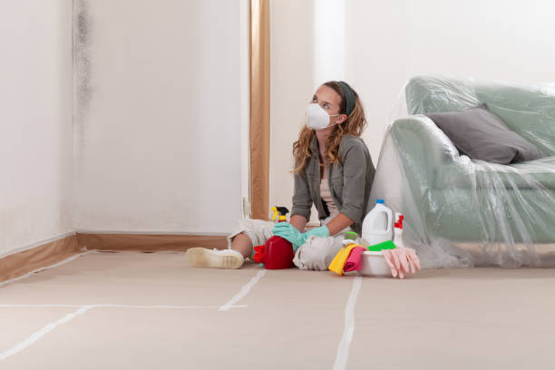Reliable Attic Mold Removal contractor in Fairfield, IL by WQB Mold Removal