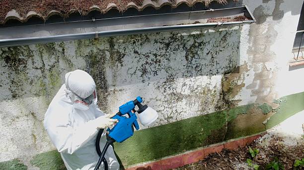 Top rated local Attic Mold Removal specialists in Fairfield, IL